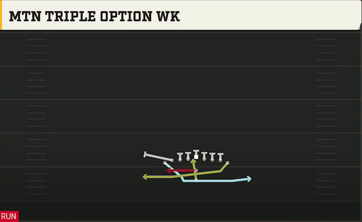 Rice Offense Pistol Wingback Dbl Tight Mtn Triple Option Wk play diagram