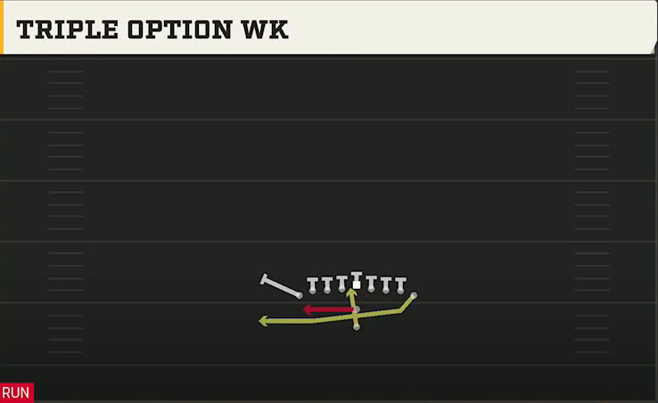 Rice Offense Pistol Wingback Dbl Tight Triple Option Wk play diagram