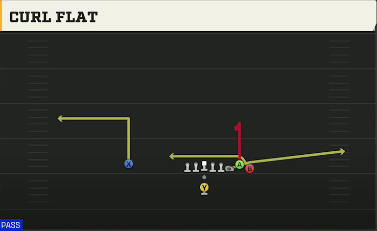 Delaware Offense Pistol Bunch Curl Flat play diagram