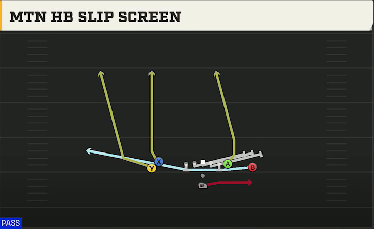 James Madison Offense Pistol Doubles Hip Mtn HB Slip Screen play diagram