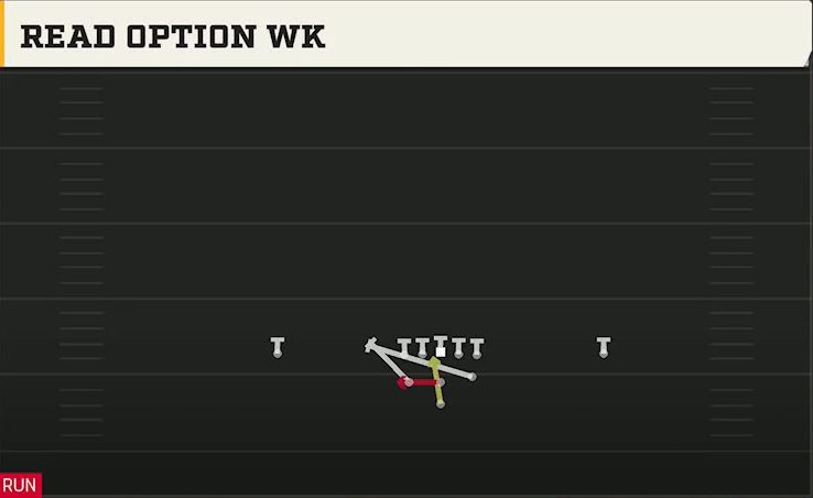 Air Force Offense Pistol Full House Pro Read Option Wk play diagram