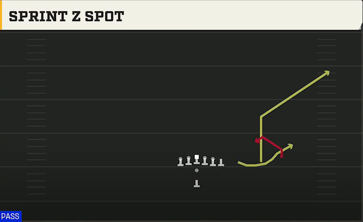 Delaware Offense Pistol Trips Y Over Sprint Z Spot play diagram
