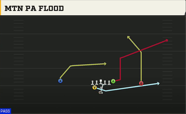 Cincinnati Offense Pistol Weak Mtn PA Flood play diagram