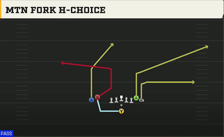 FIU Offense Pistol Wing Flex Close Mtn Fork H-choice play diagram
