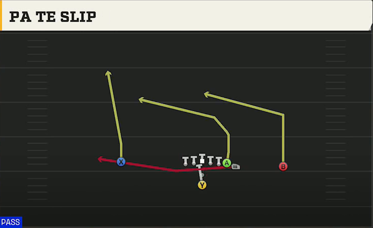 Troy Offense Pistol Wing PA TE Slip play diagram