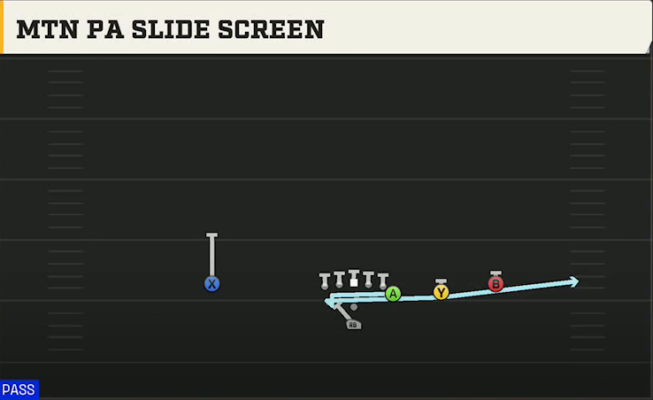 James Madison Offense Pistol Y Off Trips Mtn PA Slide Screen play diagram