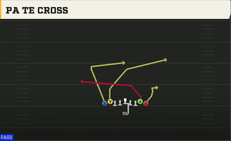 Georgia Tech Offense Singleback Ace Double Wing PA TE Cross play diagram