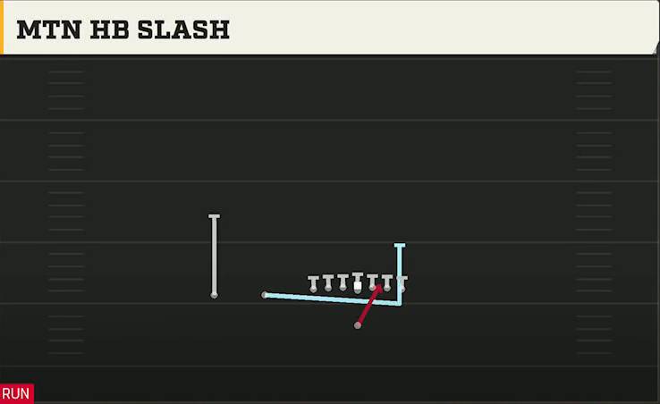 Washington Offense Singleback Ace Slot Mtn HB Slash play diagram