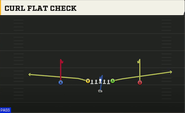 Pro Style (Alternate Offense) Singleback Ace Curl Flat Check play diagram