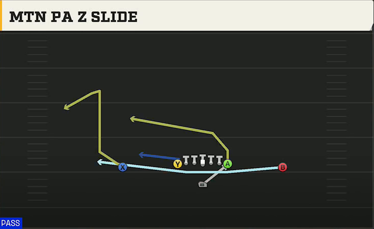 Washington Offense Singleback Ace Mtn PA Z Slide play diagram