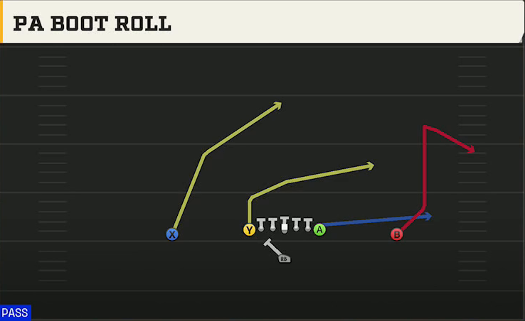 Washington Offense Singleback Ace PA Boot Roll play diagram