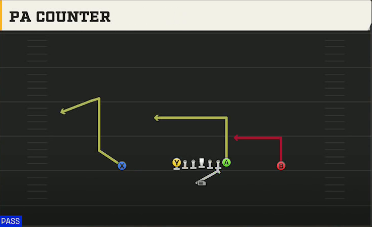 Washington Offense Singleback Ace PA Counter play diagram