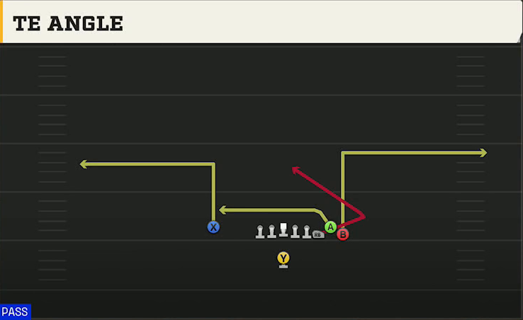 Charlotte Offense Singleback Bunch Ace TE Angle play diagram
