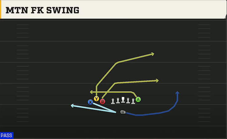 Cal Offense Singleback Bunch TE Mtn FK Swing play diagram