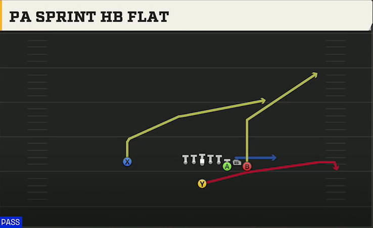 Duke Offense Singleback Bunch PA Sprint HB Flat play diagram