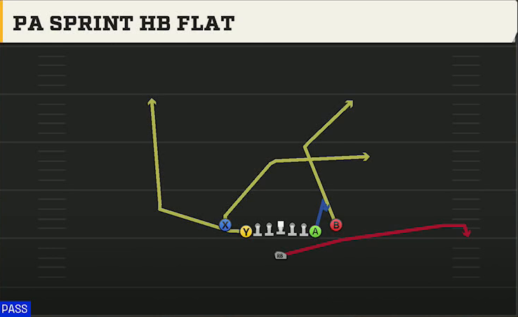 Cal Offense Singleback Deuce Close PA Sprint HB Flat play diagram
