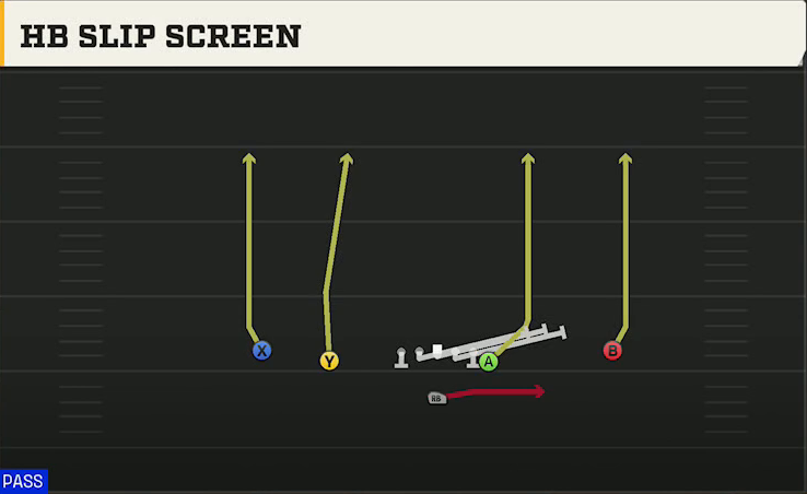 Minnesota Offense Singleback Doubles Y Off HB Slip Screen play diagram