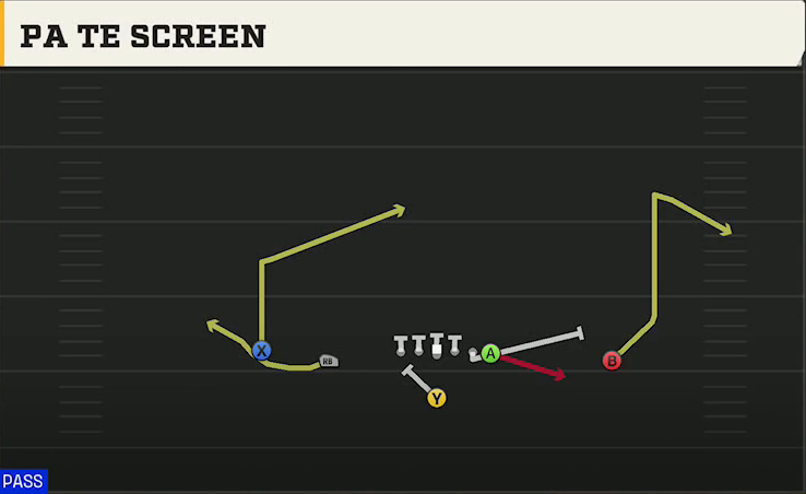 Iowa Offense Singleback Doubles PA TE Screen play diagram