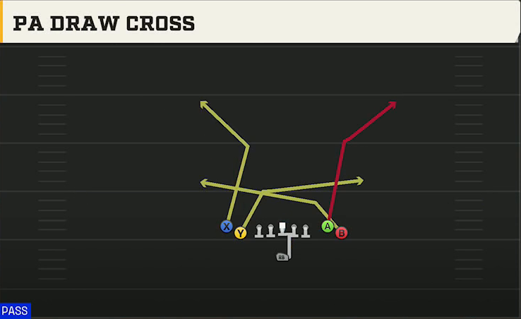 Minnesota Offense Singleback Tight Flex PA Draw Cross play diagram