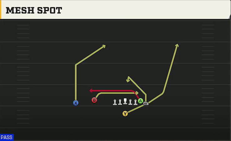 Multiple (Alternate Offense) Singleback Wing Flex Mesh Spot play diagram