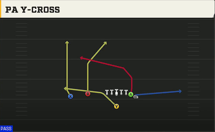 Multiple (Alternate Offense) Singleback Wing Flex PA Y-cross play diagram