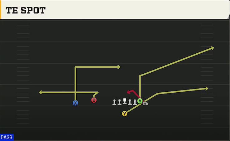 Houston Offense Singleback Wing Flex TE Spot play diagram