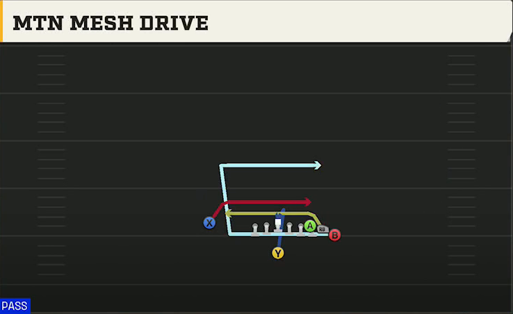Duke Offense Singleback Wing Pair Heavy Mtn Mesh Drive play diagram