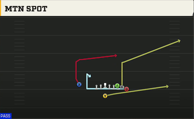 Duke Offense Singleback Wing Pair Heavy Mtn Spot play diagram