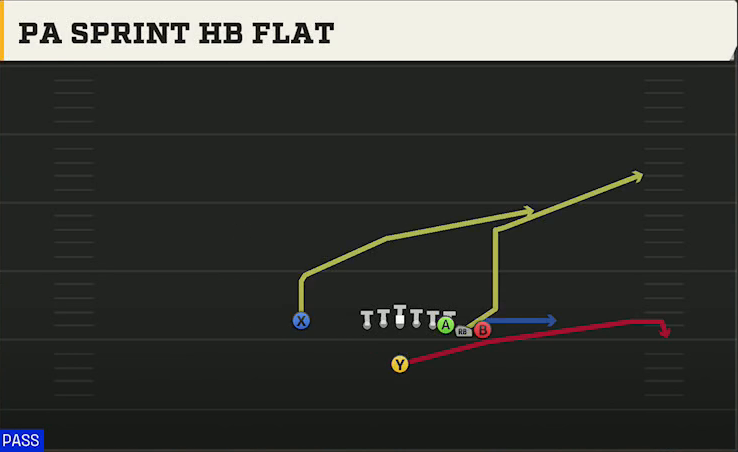 Duke Offense Singleback Wing Pair Heavy PA Sprint HB Flat play diagram