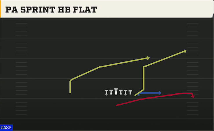 Pro Style (Alternate Offense) Singleback Wing Pair PA Sprint HB Flat play diagram