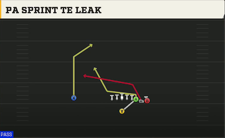 Pro Style (Alternate Offense) Singleback Wing Pair PA Sprint TE Leak play diagram