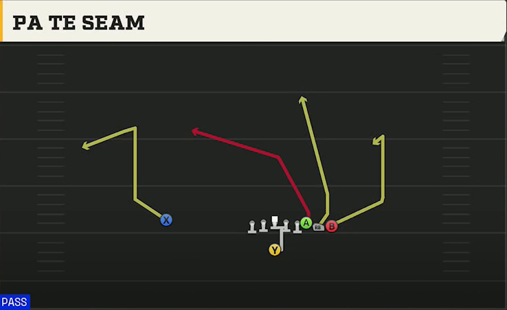 Pro Style (Alternate Offense) Singleback Wing Pair PA TE Seam play diagram