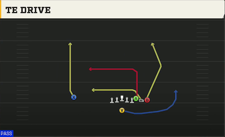 Pro Style (Alternate Offense) Singleback Wing Pair TE Drive play diagram