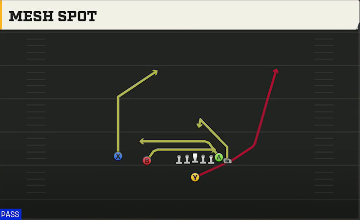 Iowa Offense Singleback Wing Slot Mesh Spot play diagram