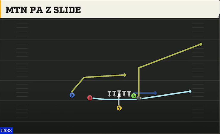 USF Offense Singleback Wing Slot Mtn PA Z Slide play diagram