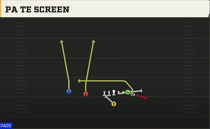 Syracuse Offense Singleback Wing Slot PA TE Screen play diagram
