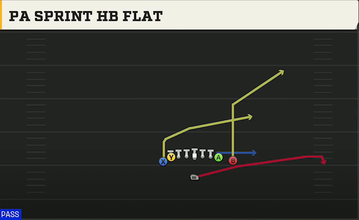 Stanford Offense Singleback Wing Tight Left PA Sprint HB Flat play diagram