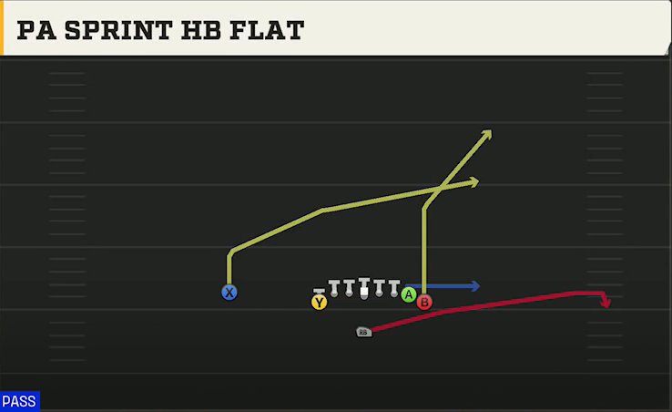 UMass Offense Singleback Wing Tight U PA Sprint HB Flat play diagram