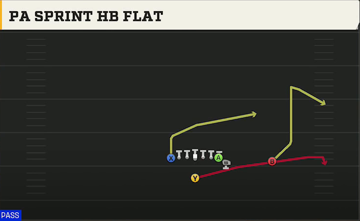 Minnesota Offense Singleback Wing Tight Z PA Sprint HB Flat play diagram