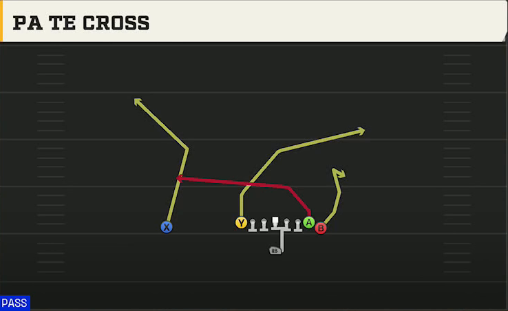 Pro Style (Alternate Offense) Singleback Wing Tight PA TE Cross play diagram