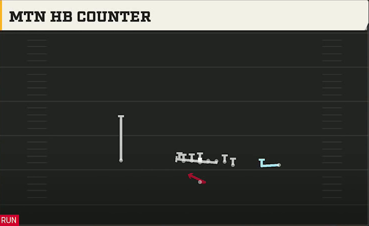 Illinois Offense Singleback Wing Mtn HB Counter play diagram