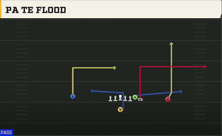Iowa State Offense Singleback Wing PA TE Flood play diagram