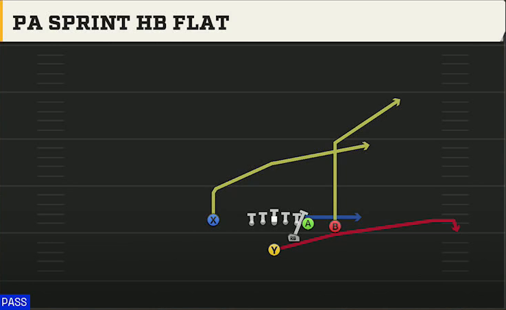 Washington Offense Strong I Close PA Sprint HB Flat play diagram