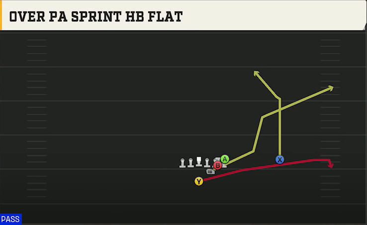 Michigan Offense Strong I H Wing Ower PA Sprint HB Flat play diagram