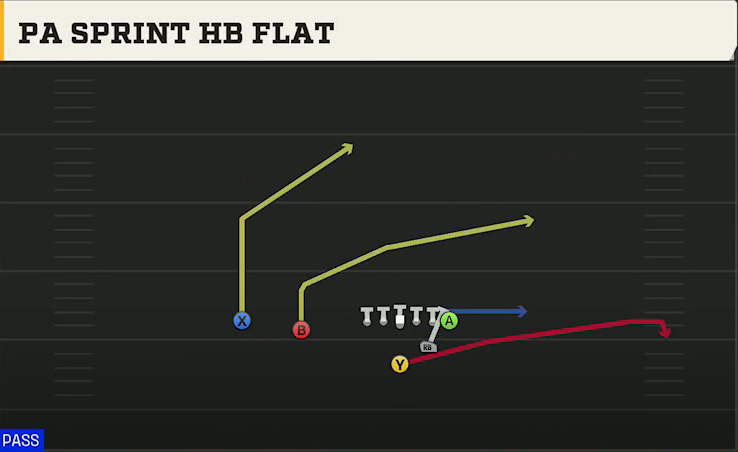 Pro Style (Alternate Offense) Strong Slot PA Sprint HB Flat play diagram