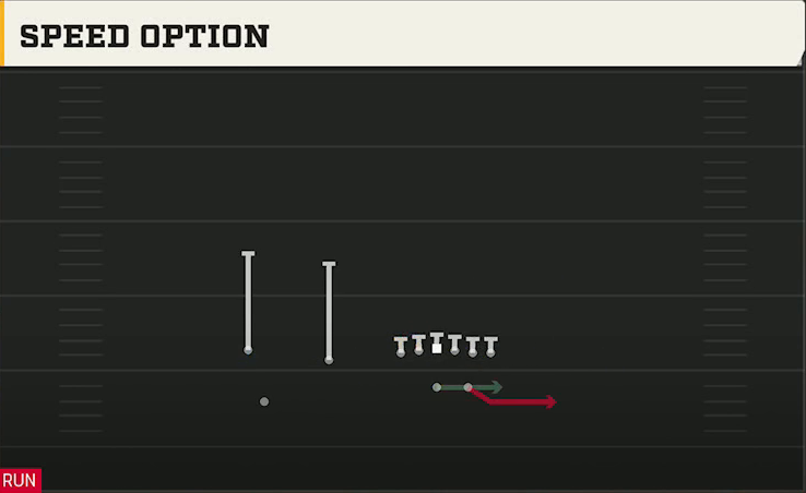 Michigan Offense Wildcat Trips TE Speed Option play diagram