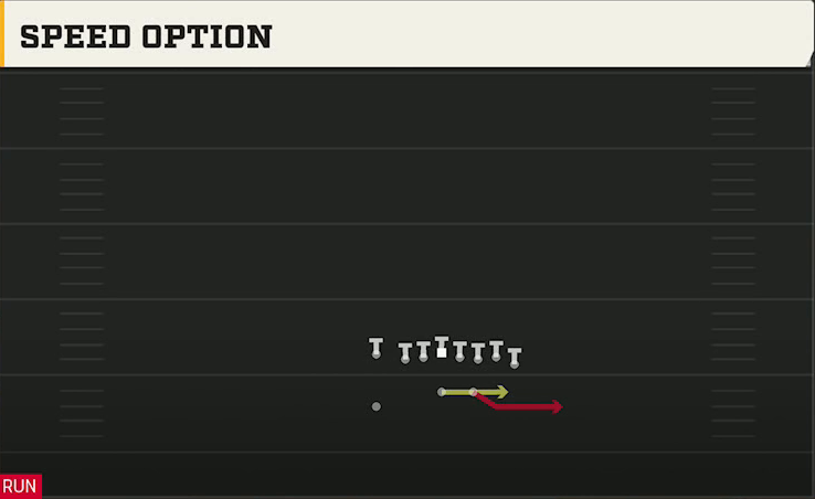 Kansas Offense Wildcat Wing Flex Speed Option play diagram
