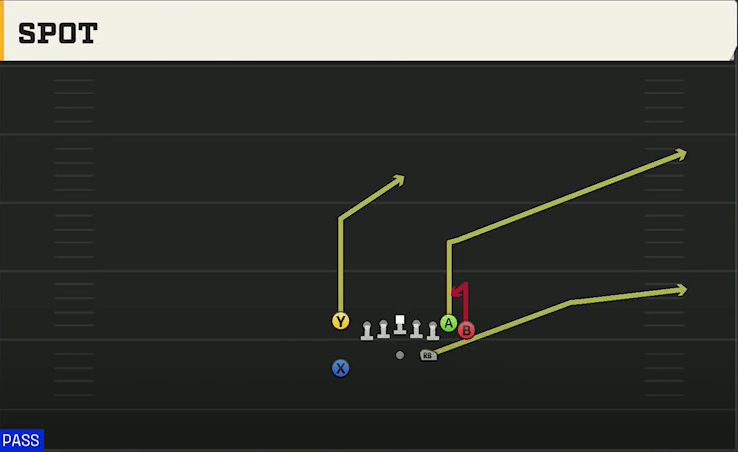 Kansas Offense Wildcat Wing Flex Spot play diagram