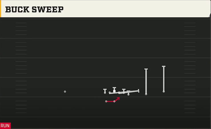 Michigan Offense Wildcat Wing Trips Wk Buck Sweep play diagram