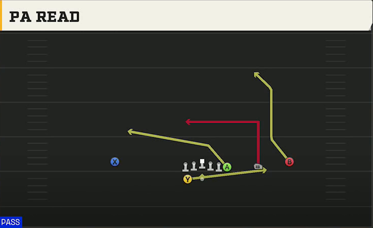 Michigan Offense Wildcat Wing Trips Wk PA Read play diagram